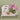 Floral Month -  Odd Flower Shop.