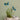 Blooming Harmony -  Odd Flower Shop.