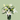 White Bloom II -  Odd Flower Shop.