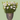 Christina -  Odd Flower Shop.