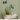 Blooming Harmony -  Odd Flower Shop.