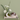 Grace Bloom -  Odd Flower Shop.