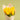 Yellow Tulips