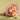 Sunset Petals Garden Bouquet