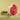 Rosy Fuchsia Baby Rose Bouquet