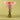 Rosy Fuchsia Baby Rose Bouquet