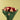 Crimson Whisper Rose Bouquet