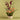 Orchids & Tulips