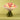 Pastel Bloom Rose Bouquet | 100 Flowers (Copy)