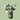 White Julian -  Odd Flower Shop.
