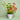 Meadow Fresh -  Odd Flower Shop.