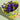 Yellow Blue -  Odd Flower Shop.