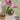 Floral Month -  Odd Flower Shop.